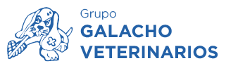 Galacho Veterinarios